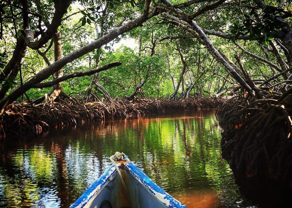 Mida Creek
