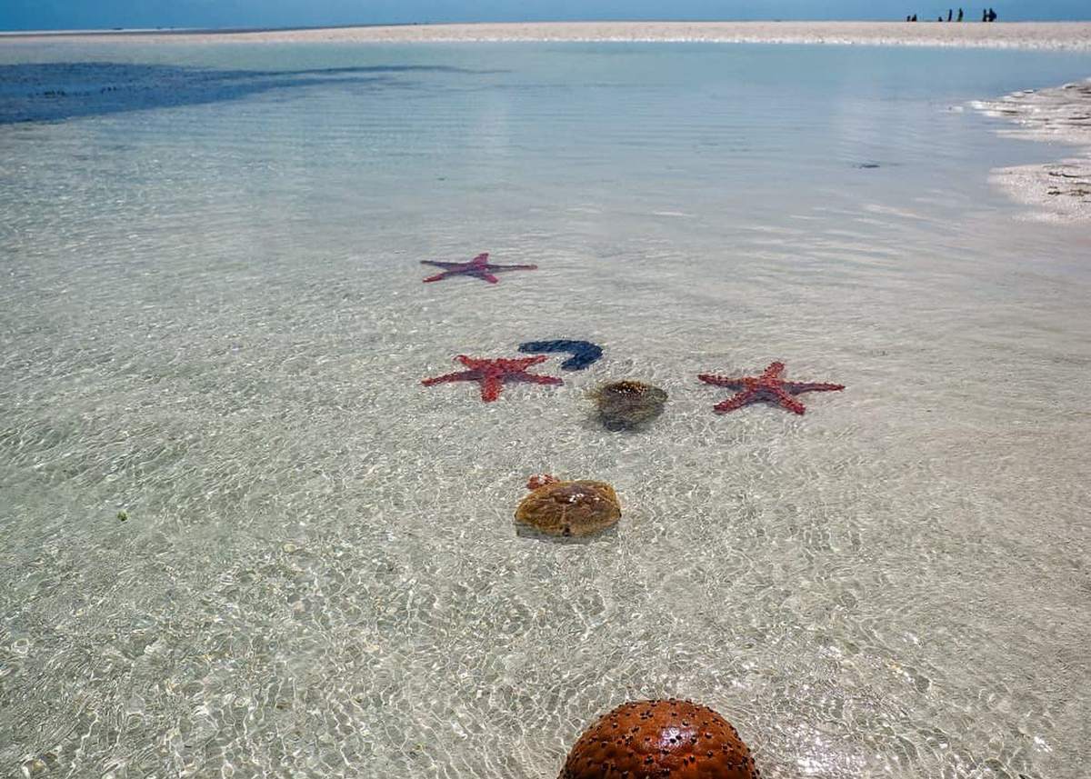 Spiaggia Dorata