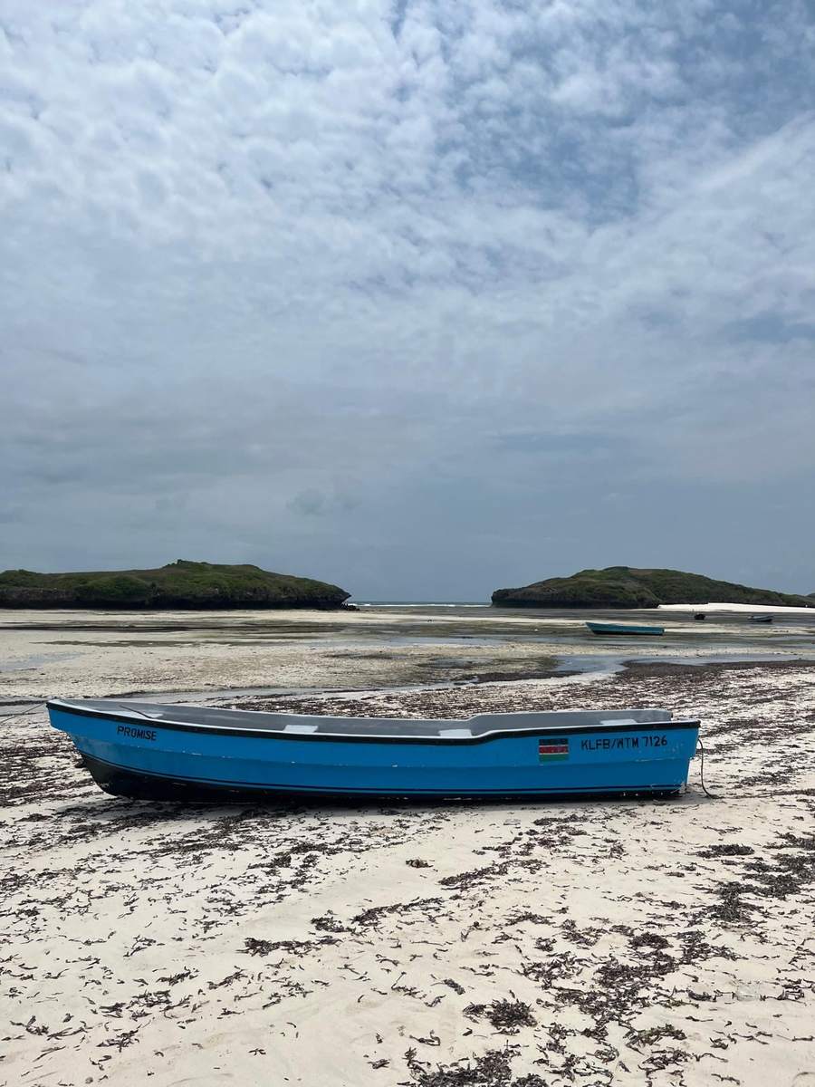Kenya - foto 2
