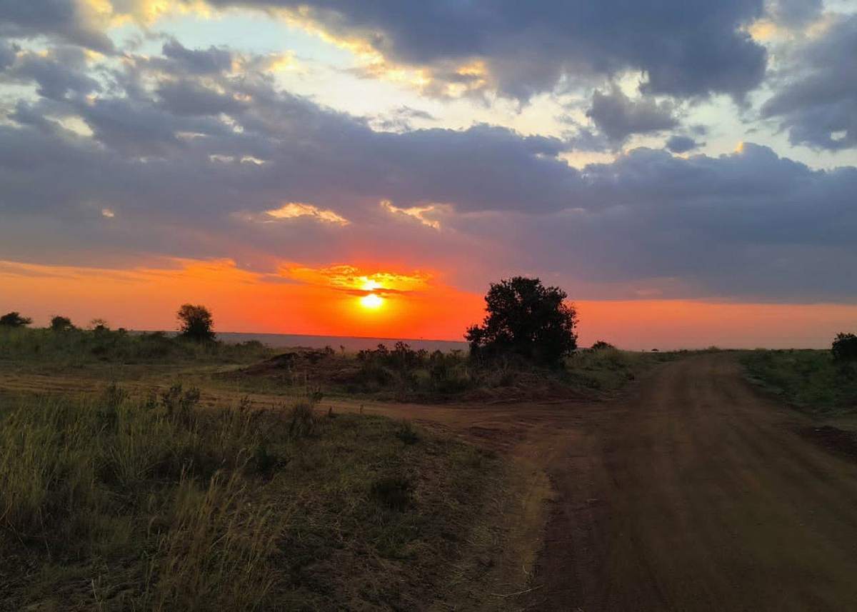 Paesaggio del Maasai Mara