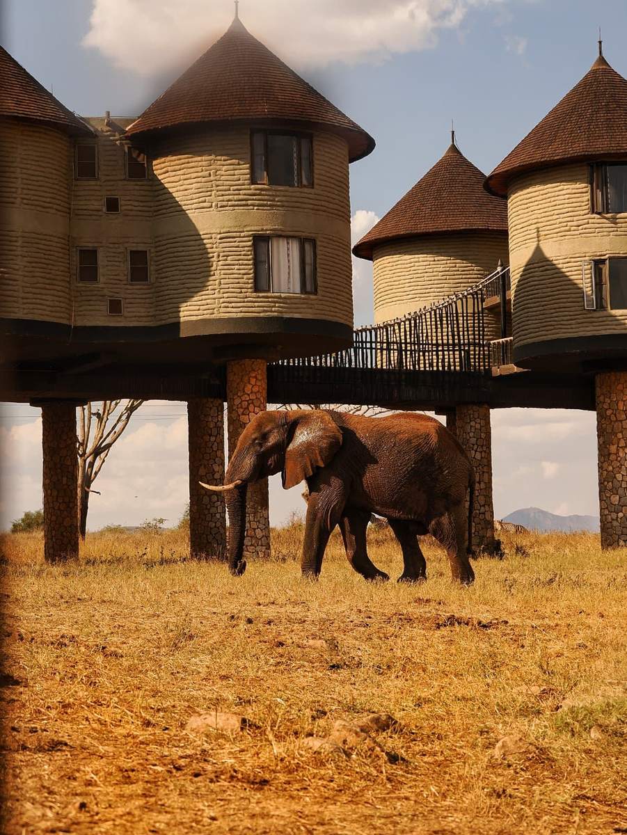 Amboseli, Taita Hills e Tsavo Est